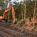 Buckeye Tree Service Solutions - Arborists