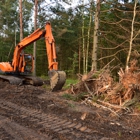 Buckeye Tree Service Solutions