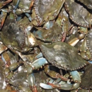 Bay Area Blue Crab - Fish & Seafood-Wholesale