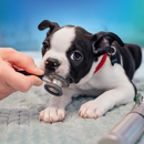 NewDay Veterinary Care Cedar Park - Veterinarians