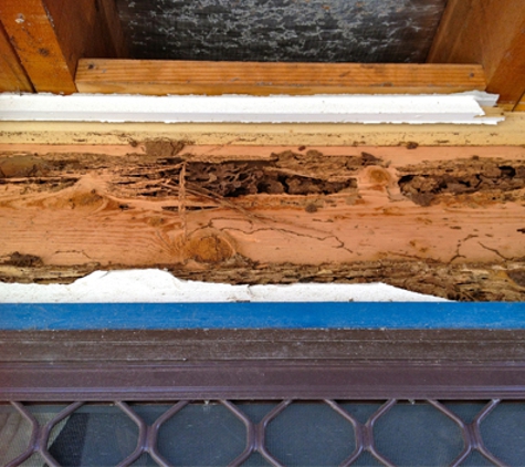 Amalgamated Pest Control - Arcadia, QLD