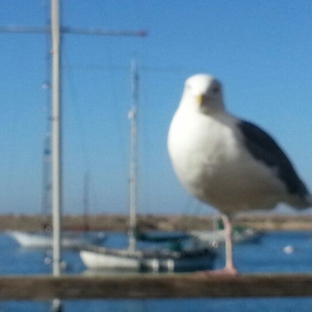 Blue Sky Bistro - Morro Bay, CA