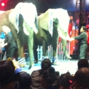 Universoul Circus - Circus Companies