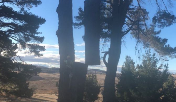 Snowy Mountains Tree Service Pty Limited - Cooma, NSW