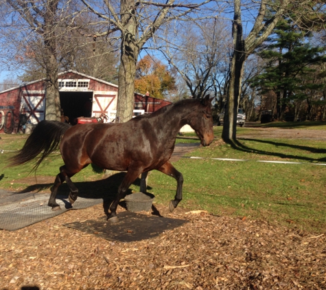 Masconette Farm - Horse Boarding - Carriage Driving - East Longmeadow, MA