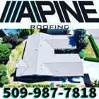 Alpine Roofing