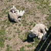 Suffolk County Farm & Education Center gallery