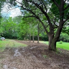 Hemenway Land Enhancement