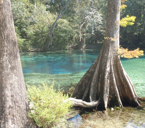 Old Cypress Canoe Rentals - Vernon, FL