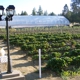 Cohen's Organic Berry Gardens ( Farm, Nursery, Gardens, R.V. Park )