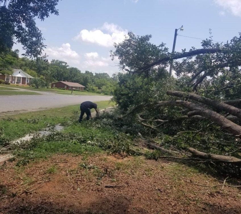 Professional Lot Clearing & Tree Service - Gaston, SC