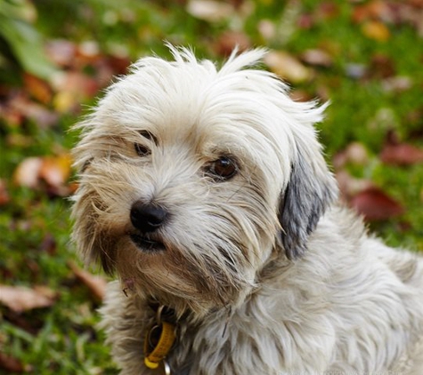 Maroondah Veterinary Clinic - Croydon, VIC