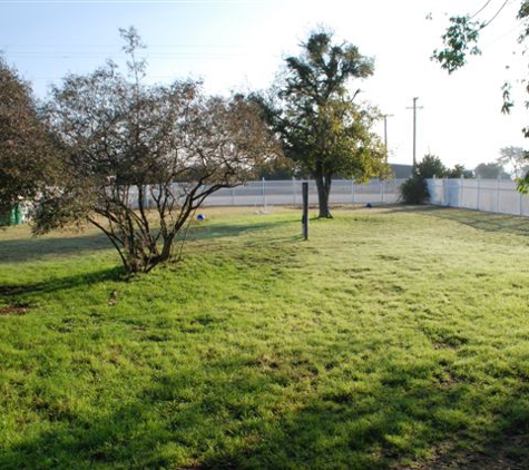 Southern Star Ranch Boarding Kennel & K9 Training Center - Florence, TX