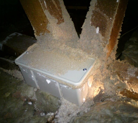 Systems Pest Management Pty Ltd - Thornleigh, NSW