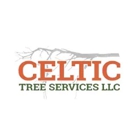 Celtic Tree & Landscape