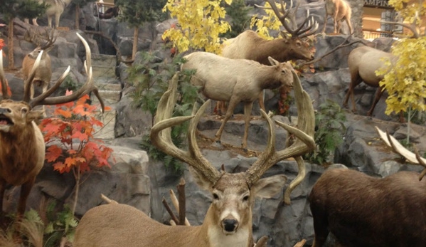 Cabela's - Gonzales, LA