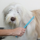 Buckeye Pets LLC - Pet Grooming