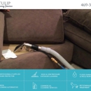 Tulip Carpet Cleaning Frisco - Carpet & Rug Cleaners