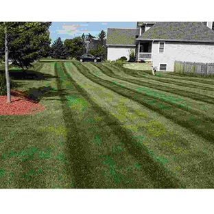 Maya Lawn Landscaping Corp. - Harvard, IL