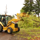 Jerry's Tree Service - Stump Removal & Grinding