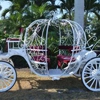 Dream Carriages by EKD LLC gallery