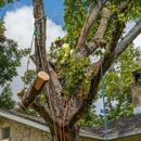 Moon Valley Nurseries - Nurseries-Plants & Trees