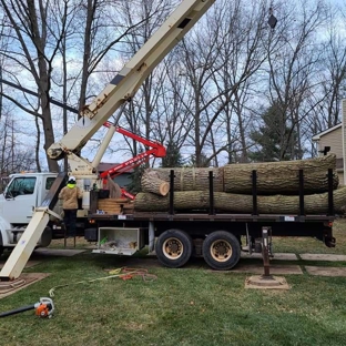 Hansen's Tree Service & Landscaping - Rossford, OH