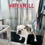 Watermill Auto & Pet Wash