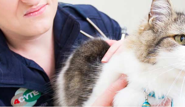 Warwick Veterinary Clinic - Warwick, QLD