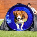 Paws 'n' Rec - Lemon - Pet Services