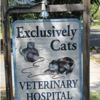 Exclusively Cats Veterinary Hospital gallery