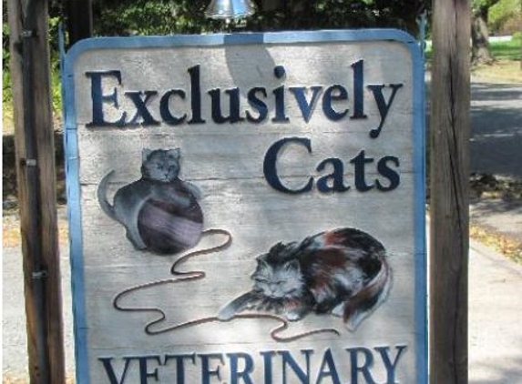 Exclusively Cats Veterinary Hospital - Medford, NJ