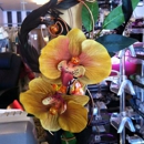 Flowers & Flowers - Flowers, Plants & Trees-Silk, Dried, Etc.-Retail