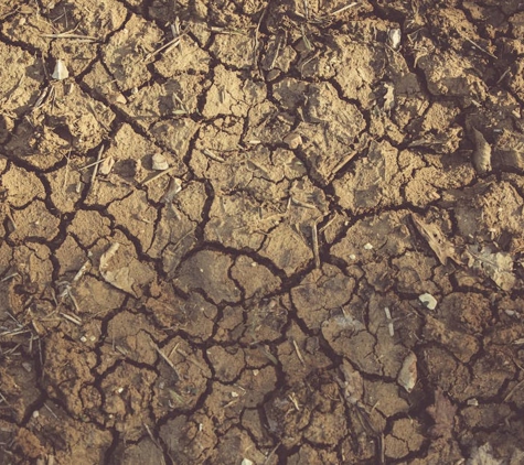 Dirts (QLD) Pty Ltd - Urangan, QLD