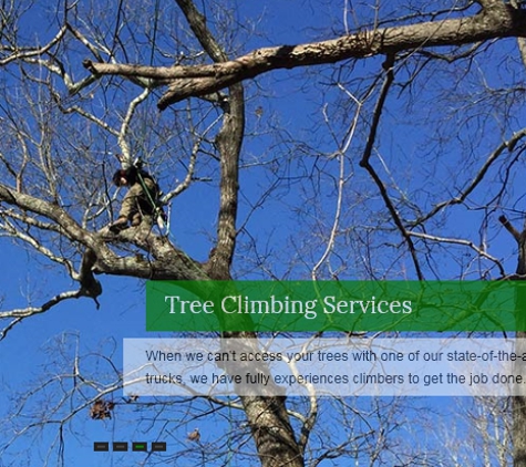 A & L Tree Experts - Madison, CT