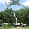Beeghly Tree Service gallery