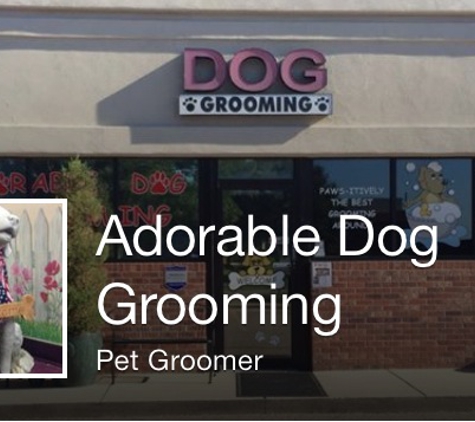 Adorable Dog Grooming - Thornton, CO