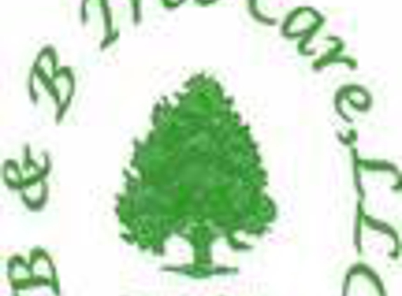 B & B Tree Care - Seymour, TN