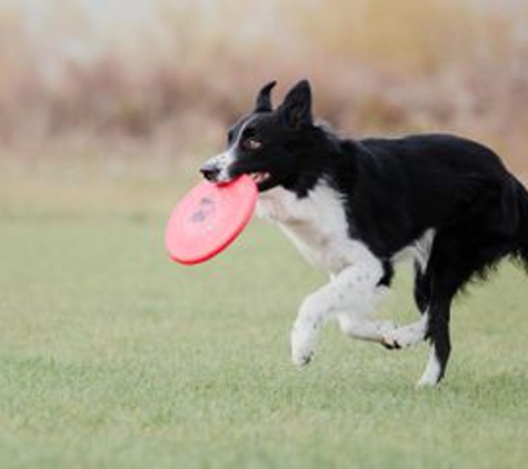 Yankee Hill Veterinary Hospital - Lincoln, NE