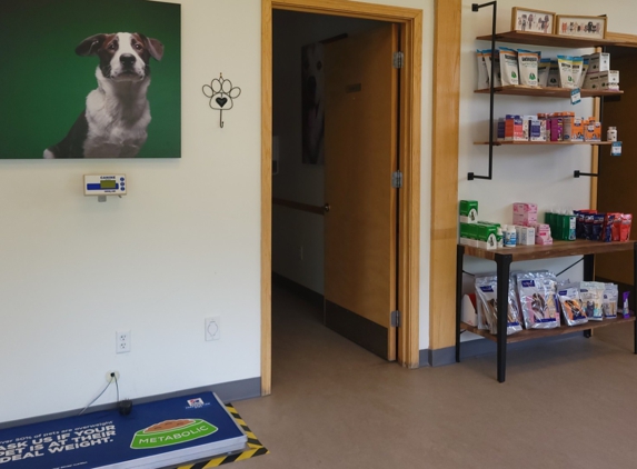 VCA Lantern Road Animal Hospital - Fishers, IN