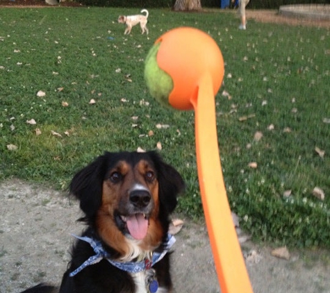 University City Dog Park - Saint Louis, MO