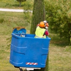 Advanced Tree & Stump Removal