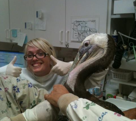 Muirlands Animal and Avian Hospital - Mission Viejo, CA