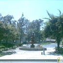 Country Woods Apartment Homes - Apartments