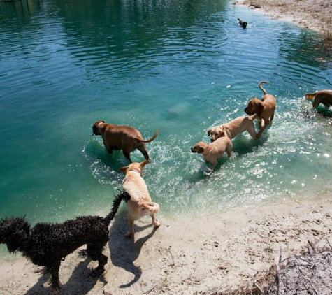 Sandy Oaks Kennels and Daycare - Rockport, TX