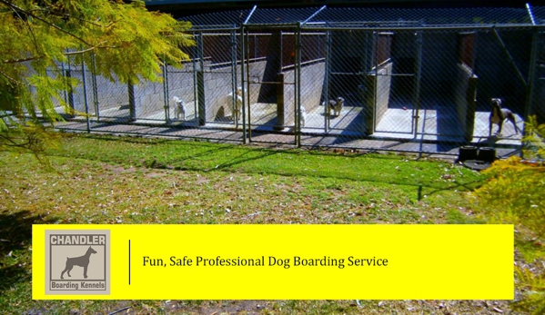 Chandler Boarding Kennels - Chandler, QLD. Fun, Safe Professional Dog Boarding Service