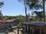 Stump Grinding Central Coast and Tree Service Pty Ltd - Tree & Stump Removal Services