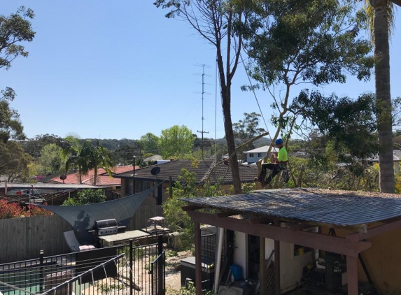 Stump Grinding Central Coast and Tree Service Pty Ltd - Umina Beach, NSW. Tree removal done right