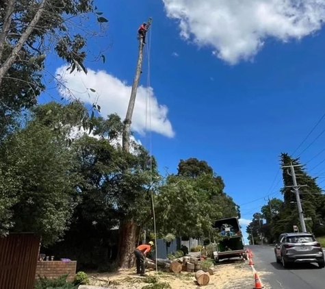 Harringtons Tree Services - Mount Evelyn, VIC