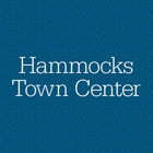 Hammocks Town Center